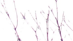 La búsqueda se reanudó este martes.