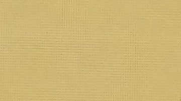 Presidente de la Confederación Brasileña de fútbol, Ednaldo Rodrigues, fue destituido de su cargo