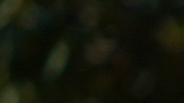 El hallazgo subraya la dimensión de la crisis de desapariciones que atraviesa el país, con más de 125,000 reportes de personas desaparecidas.