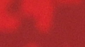 Ortega fue reelegido para su quinto mandato (cuarto consecutivo), con sus principales rivales en la cárcel y a los que posteriormente expulsó del país.