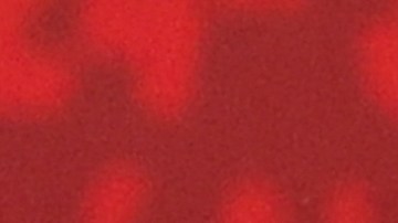 Ortega fue reelegido para su quinto mandato (cuarto consecutivo), con sus principales rivales en la cárcel y a los que posteriormente expulsó del país.