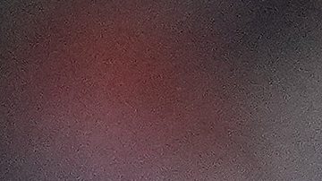 Nicaragüense Jonathan Loaisiga regresa a la acción con New York Yankees