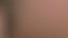 Ron Johnson, senador republicano por Wisconsin.