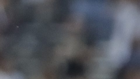 New York Yankees activaron de la lista de lesionados a DJ LeMahieu