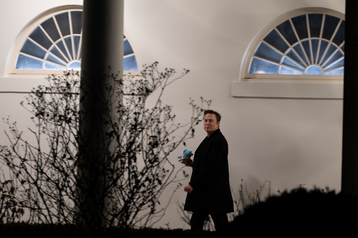 De aliado a crítico: El recorrido de Musk en la era Trump