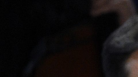 Los “New York Philharmonic Concerts in the Parks, Presented by Didi and Oscar Schafer”, se celebrarán del 4 al 7 de junio