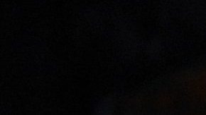 Los “New York Philharmonic Concerts in the Parks, Presented by Didi and Oscar Schafer”, se celebrarán del 4 al 7 de junio