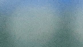 Juan Soto y su manager Carlos Mendoza.