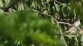 Un hombre pasa en bicicleta frente al Centro Penitenciario de Aragua en Tocorón, Venezuela, el sábado 22 de marzo de 2025.