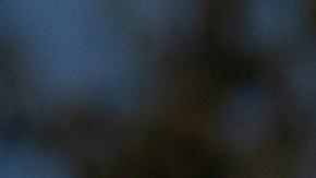 La sobredosis es la principal causa de muerte en EE.UU.