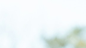 Redada migratoria en Nueva York: 14 trabajadores agrícolas fueron detenidos por ICE