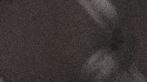 Donald Trump junto a Elon Musk