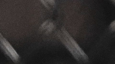 Donald Trump junto a Elon Musk