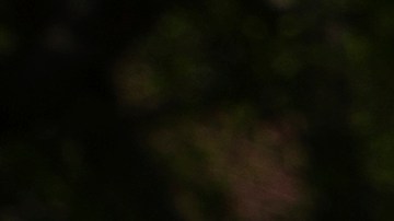 Protesta en la Embajada de El Salvador en Washington D.C.