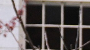 Quedarían afectados unos $100 millones de dólares en contratos.