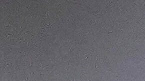 Revelan desde Brasil el astronómico salario que cobrará Carlos Ancelotti como DT de la selección