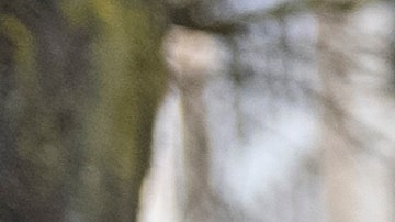 Hannah Dugan, jueza acusada en Wisconsin por obstruir arresto de migrante