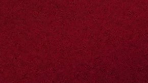 Luis Enrique dirá presente con el PSG en el Mundial de Clubes.