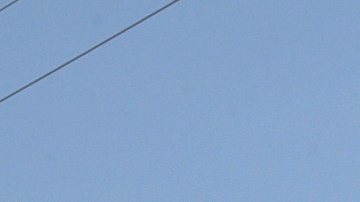 Deportaciones de Trump bajo Ley de Enemigos Extranjeros