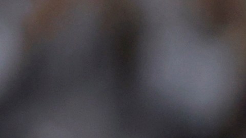 Aaron Judge y Paul Goldschmidt lideran la ofensiva de los Yankees.