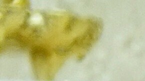 Trump respondió al primer ministro que "nunca digas nunca".