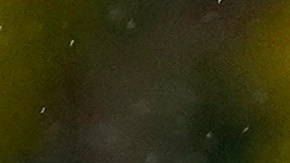 Racing Club buscará sumar una victoria este jueves en Copa Libertadores.