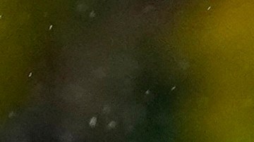 Racing Club buscará sumar una victoria este jueves en Copa Libertadores.