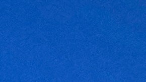 Biden expresó su preocupación por la crisis en las relaciones entre Washington y Europa bajo el mandato de Trump.