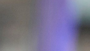 Los oficiales de TSA revisan el Real ID para abordar vuelos domésticos.