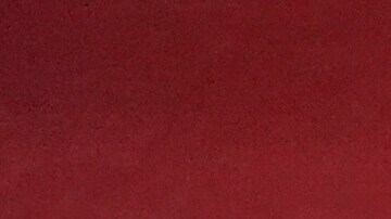 Carlos Mendoza manager de los Mets.