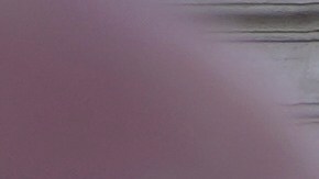 Para esta tarde saldrá otra fumata.