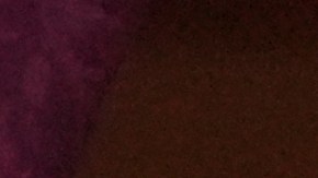 Robert Francis Prevost (León XIV).