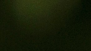 Stephen Miller defendió el reasentamiento de los afrikáneres incluso cuando se prohibió el ingreso a EE.UU. a refugiados de otros países.