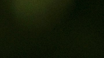 Stephen Miller defendió el reasentamiento de los afrikáneres incluso cuando se prohibió el ingreso a EE.UU. a refugiados de otros países.