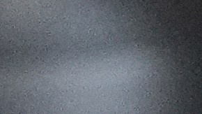 Jasson Domínguez logró tres jonrones en el triunfo ante Oakland.