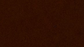 El Papa León XIV durante una aparición en el balcón de la Basílica de San Pedro.