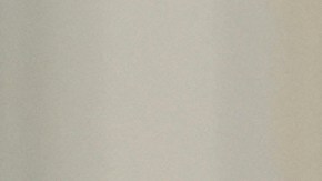 La decisión de la jueza de Pensilvania a favor del uso de la Ley de enemigos extranjeros supone el primer triunfo legal de Trump en este tema.