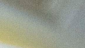 El recorte hacia la Guardia Costera, considerada ineficaz, le ahorró al DOGE más de $32 millones de dólares.