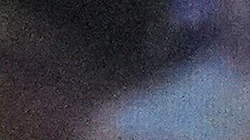 Jake Paul revela que peea con el Canelo se canceló por oferta millonaria.