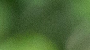 Volodimir Zelenski, presidente de Ucrania.