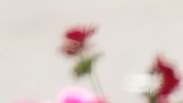 El papa inicia su pontificado formalmente.