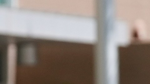 Policías de ICE y HSI se dirigen a un tribunal de inmigración para detener a una persona.