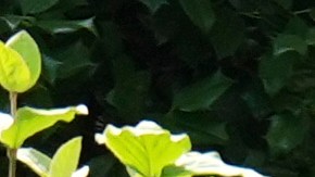 Donald Trump por los alrededores de la Casa Blanca