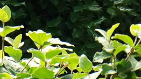 Donald Trump por los alrededores de la Casa Blanca