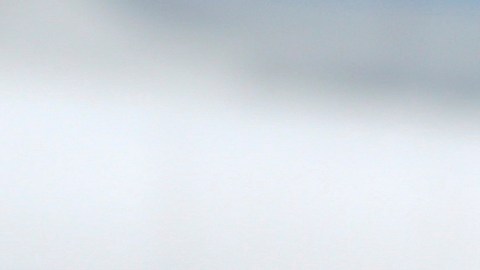 Como China o la UE, esos países tienen grandes superávits con la primera potencia mundial y pueden verse seriamente perjudicados si Trump activa finalmente los aranceles que les adjudicó inicialmente.