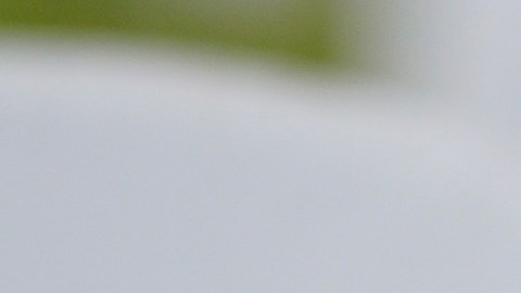 Terrence Floyd dijo que él y George crecieron separados y no se conocieron en personas hasta 2016, en una reunión familiar, pero siempre supo de él.
