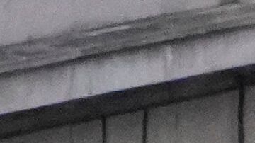 Hasta el momento no se reportan fallecidos por el incidente.