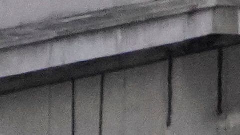 Hasta el momento no se reportan fallecidos por el incidente.