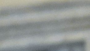 Papa León XIV recibió al campeón Napoli en el Vaticano