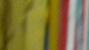 Hamás dijo estar de acuerdo con la propuesta de Steve Witkoff.